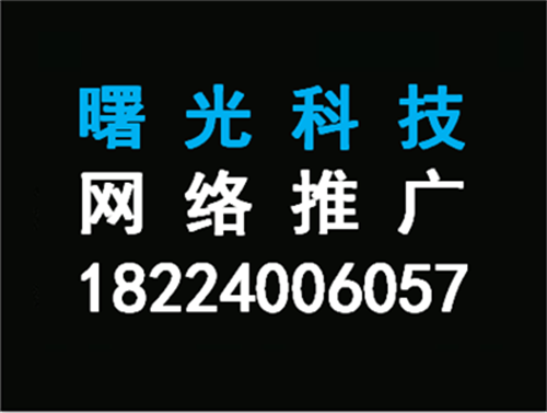 网络SEO优化推广在当代世纪的发展趋势