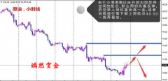 嫣然赏金：8.1原油天然气的分析及操作建议，备战非农！