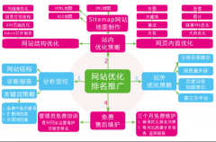 为什么要重视SEO优化技巧