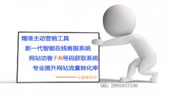 并且要有在网络环境下企业所具有的优势、机会和威胁