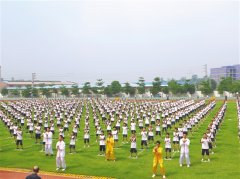 全民参与，打造“咏春原点、功夫水乡” 鹤山吹响咏春推广集结号