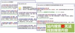 B2C网站搜索引擎优化分析与诊断方案