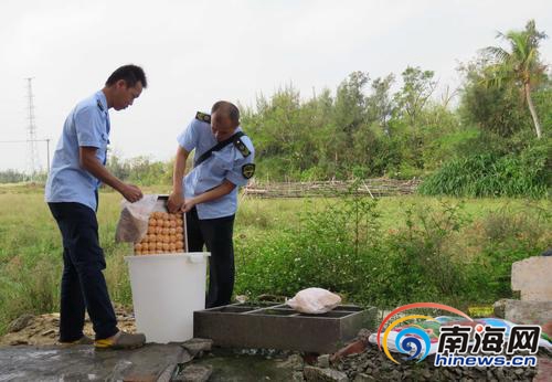 新闻追踪《肉丸作坊藏身毛坯房》 销毁103包肉制品