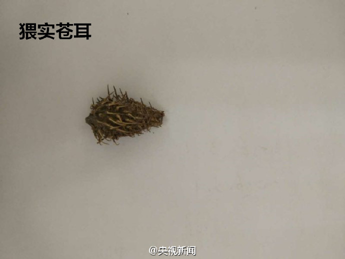 辽宁口岸在进口美国大豆中检出有毒生物(图)