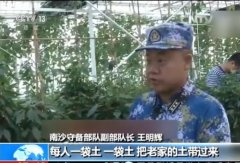 探秘永暑礁设施建设 守礁官兵从家乡带种子建蔬菜大棚_金羊网新闻