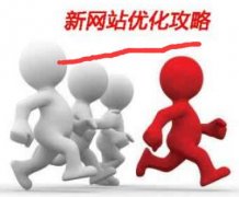 《广安seo》新站收录很多但是没排名如何解决