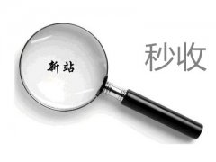 《小宝seo》网站文章如何能够让蜘蛛秒收？