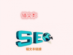 《seo优化大师》什么是锚文本？