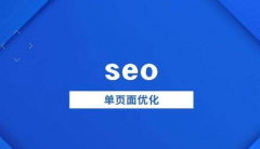 单页面怎么做seo，一个很666的网站