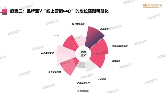 品牌蓝V，自媒体界的又一“宝藏男孩”