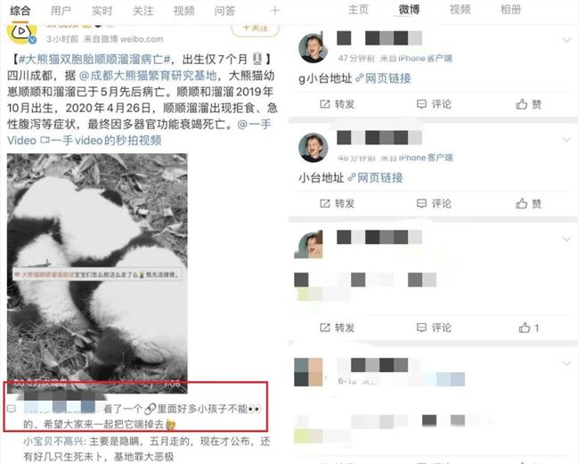 互联网黑产阻击战：那些可疑评论背后藏着的色情黑产链条