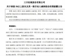 三只松鼠：NICE GROWTH LIMITED等拟减持公司不超9%股份