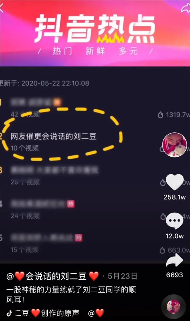 这只会说话的猫凭什么比李佳琦还红？