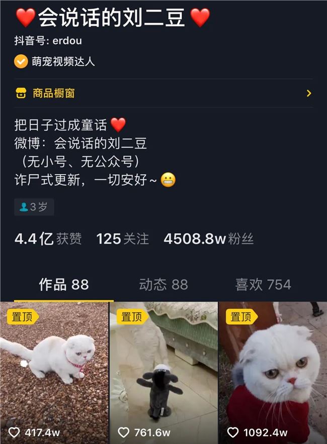 这只会说话的猫凭什么比李佳琦还红？