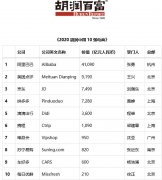 2020胡润中国10强电商榜发布：阿里、美团、京东排前三