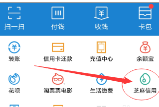 支付宝工作信息可以随便填吗？在哪填写信息？