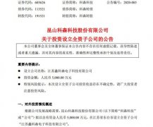 特斯拉供应商科森科技拟投资5000万元在江苏设立全资子公司