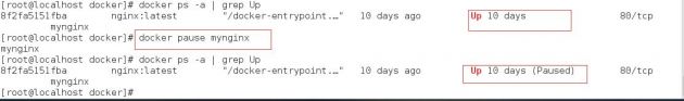 云计算核心技术Docker教程：pause/unpause命令详解