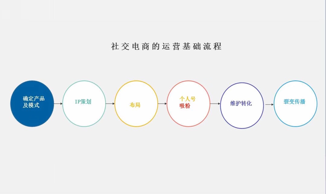 可复制的微信私域流量操盘全流程：选品、IP 打造、内容策划、团队培训