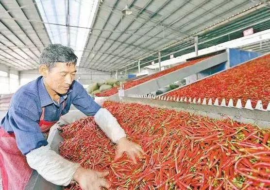 加工什么能赚钱，10个适合在农村办的小型加工厂项目
