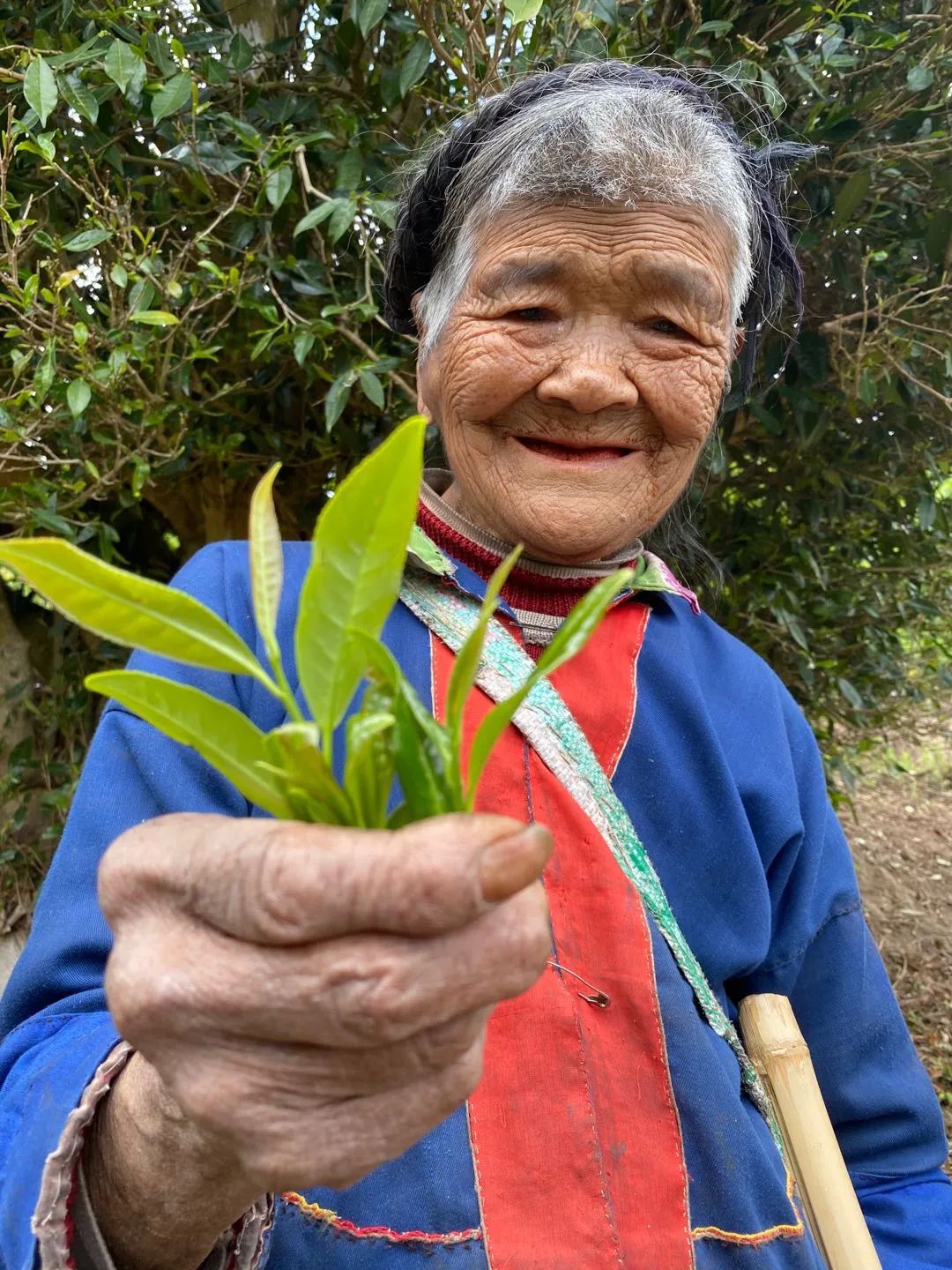 四川人有多虎？这个小伙竟说他和马云差不多！