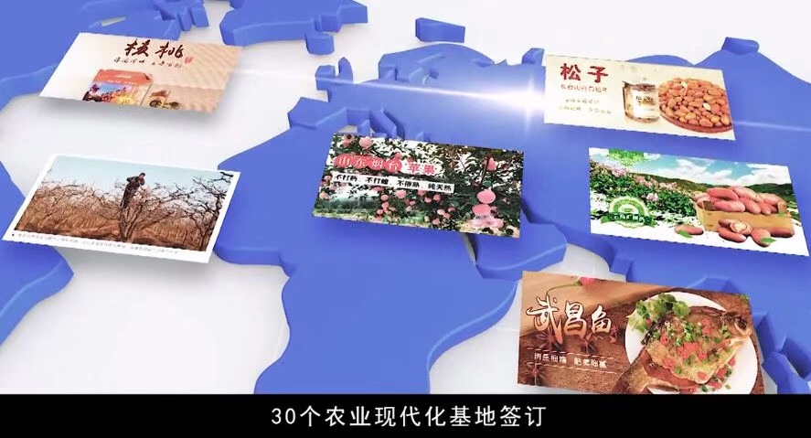 薅羊毛深渊：易网购创始人卷走200亿，1200万人上当受骗！