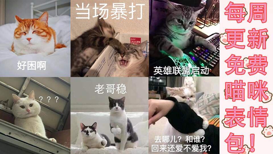 直播电商和电视购物的距离