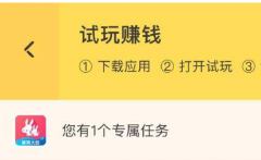 应用试客真的能赚钱吗？应用试客一天能赚多少