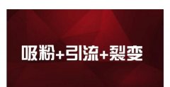 抖音怎么定向推广引流？引流达人都这样做