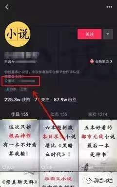 小说分销项目的全面剖析