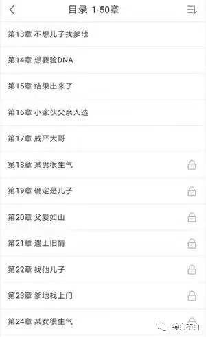 小说分销项目的全面剖析