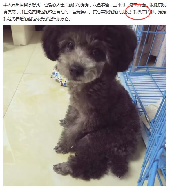 贴吧精准引流不稳定怎么办？教你新玩法操作步骤