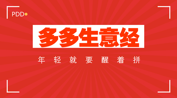 【拼多多生意经】从开店0单到百万月销，流浪三毛强势逆袭！