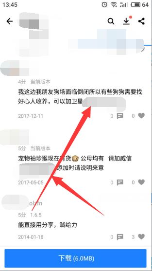 实业型赚钱项目有哪些（起盘容易的宠物玩法讲解）