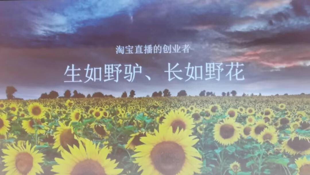 淘宝直播双11战役正式打响，备战最全干货都在这里了（附机构大会ppt）