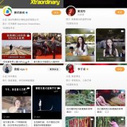 重大利好！10亿日活的微信「视频号」必将成为内容创业者的新机会