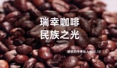 起底你不了解的B站，大公司、KOL群涌的背后原因是什么？