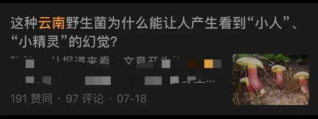 让你看见七彩小人的“神奇蘑菇”，其实可以治疗抑郁症？