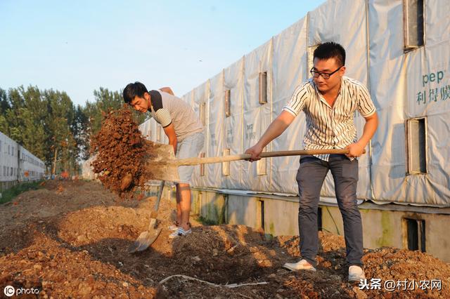 返乡创业做什么项目好，推荐9个低成本高利润的项目