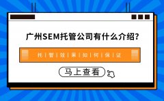 广州SEM托管公司有什么介绍？托管效果如何保证