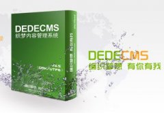 企业站SEO用什么CMS相对更加适合你呢?