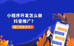 小程序开发怎么做抖音推广？推广效果怎样？