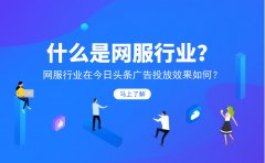 什么是网服行业？网服行业在今日头条广告投放效果如何？