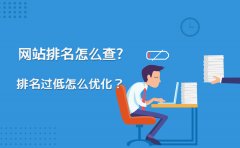 网站排名怎么查?排名过低怎么优化？