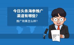 今日头条海参推广渠道有哪些？推广效果怎么样？