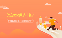 怎么优化网站排名？广州网站排名优化公司那家技术好？