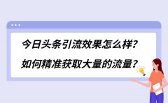 今日头条引流效果怎么样？如何精准获取大量的流量？