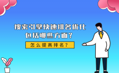 搜索引擎快速排名优化包括哪些方面？怎么提高排名？