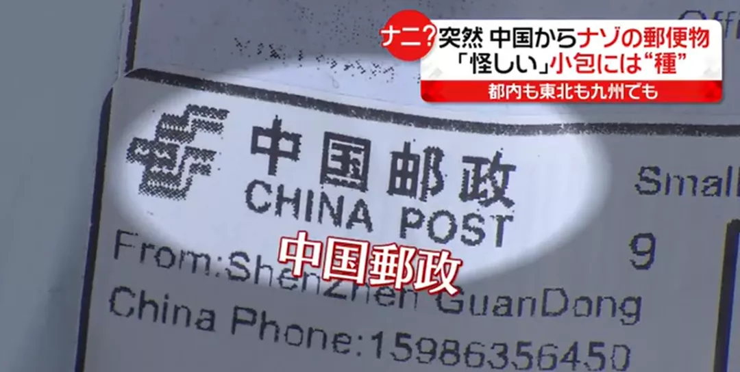 神秘种子又来了！深圳跨境卖家竟把邮包寄到这里