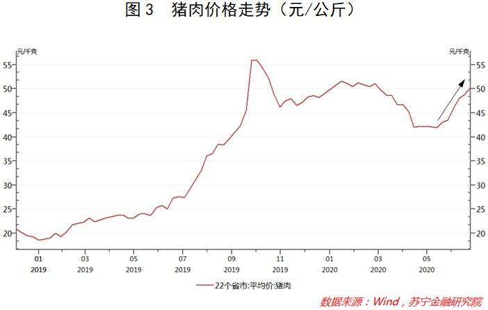 鸡蛋价格“坐火箭” ，谁是幕后推手？